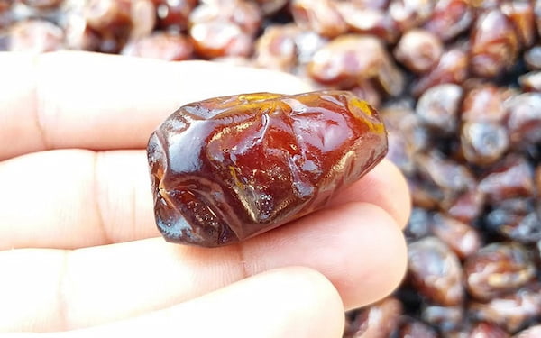 تصویر 4 از قیمت خرید خرمای کبکاب سطلی + فروش ویژه